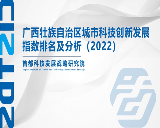 大鸡巴操性感美女视频【成果发布】广西壮族自治区城市科技创新发展指数排名及分析（2022）